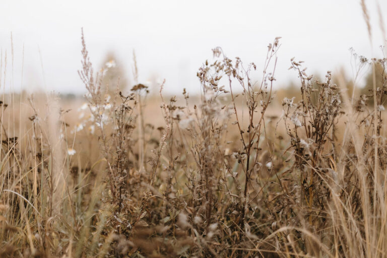 How to Start Living Sustainably (without overwhelm)